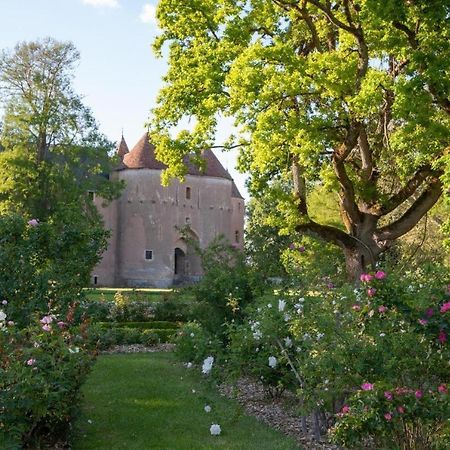Chateau D'Ainay-Le-Vieil 外观 照片