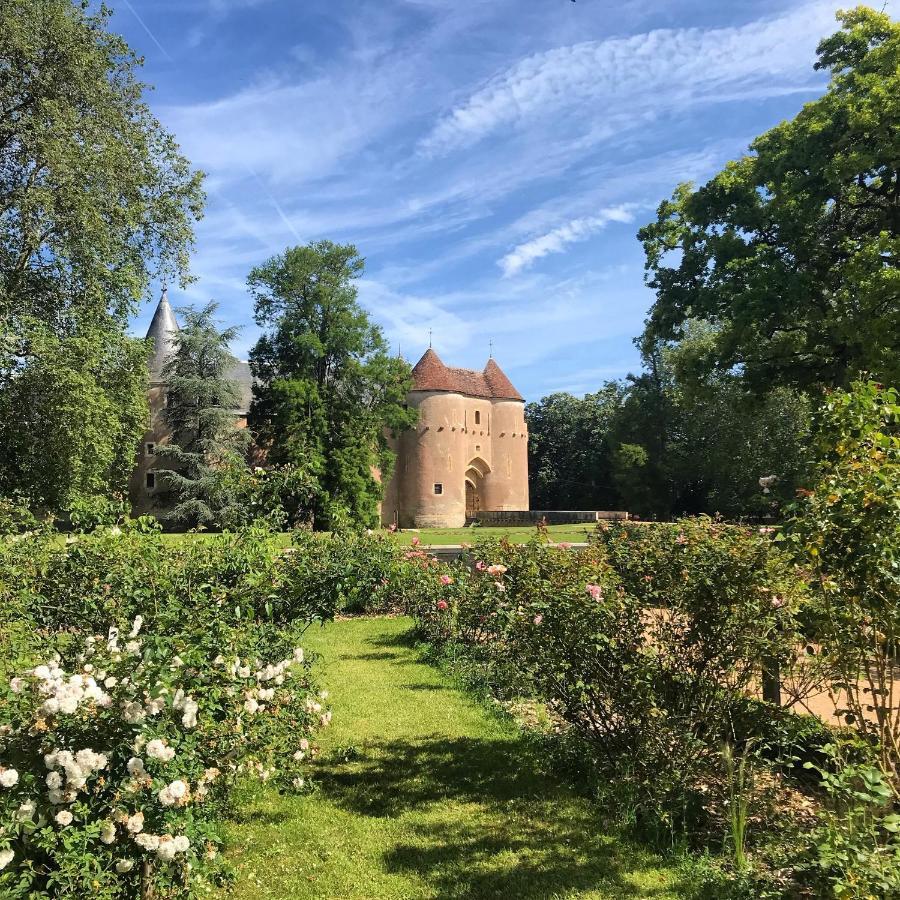 Chateau D'Ainay-Le-Vieil 外观 照片