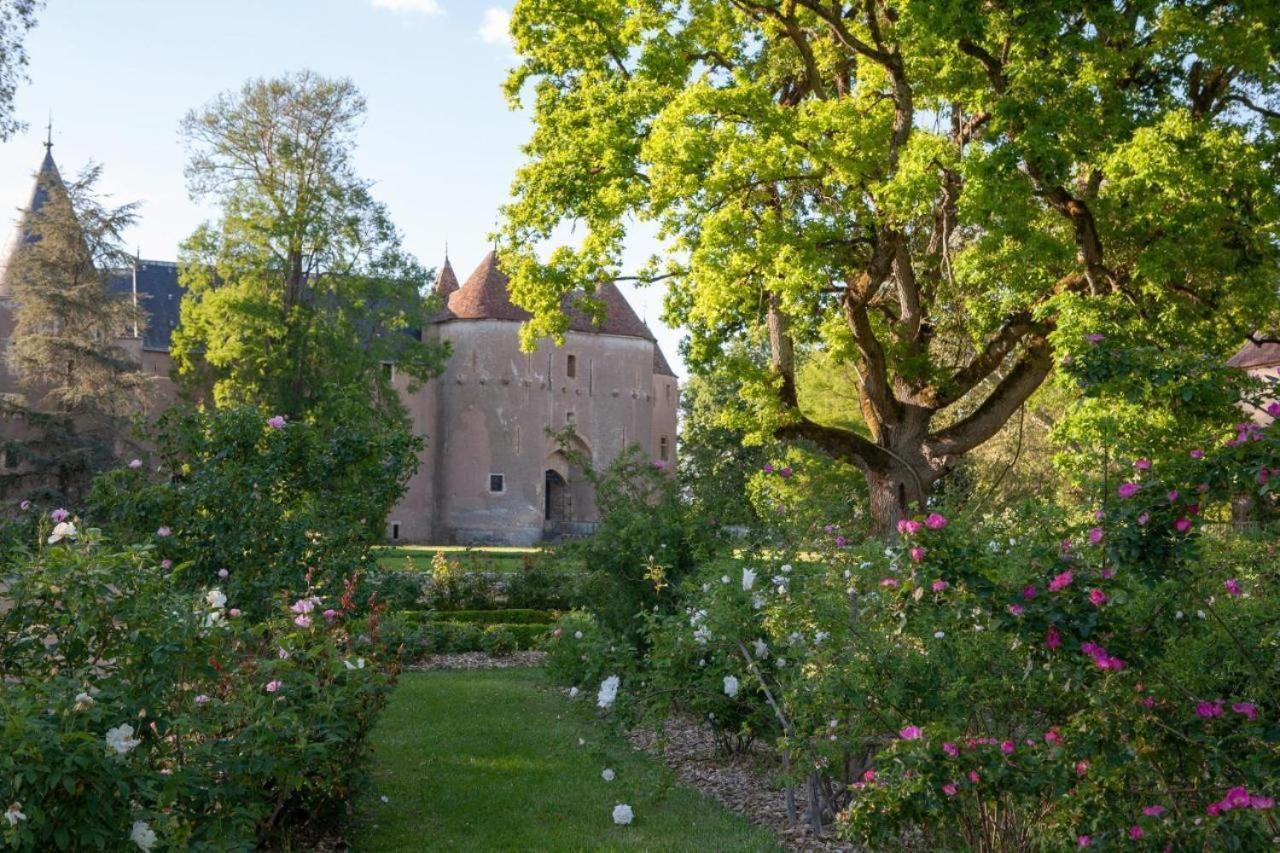 Chateau D'Ainay-Le-Vieil 外观 照片