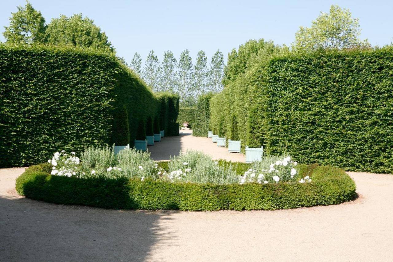 Chateau D'Ainay-Le-Vieil 外观 照片