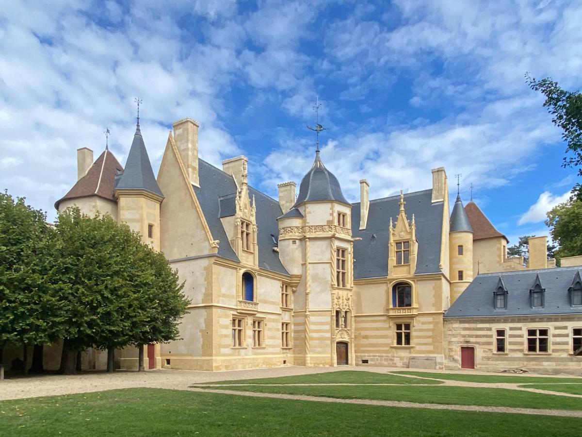 Chateau D'Ainay-Le-Vieil 外观 照片